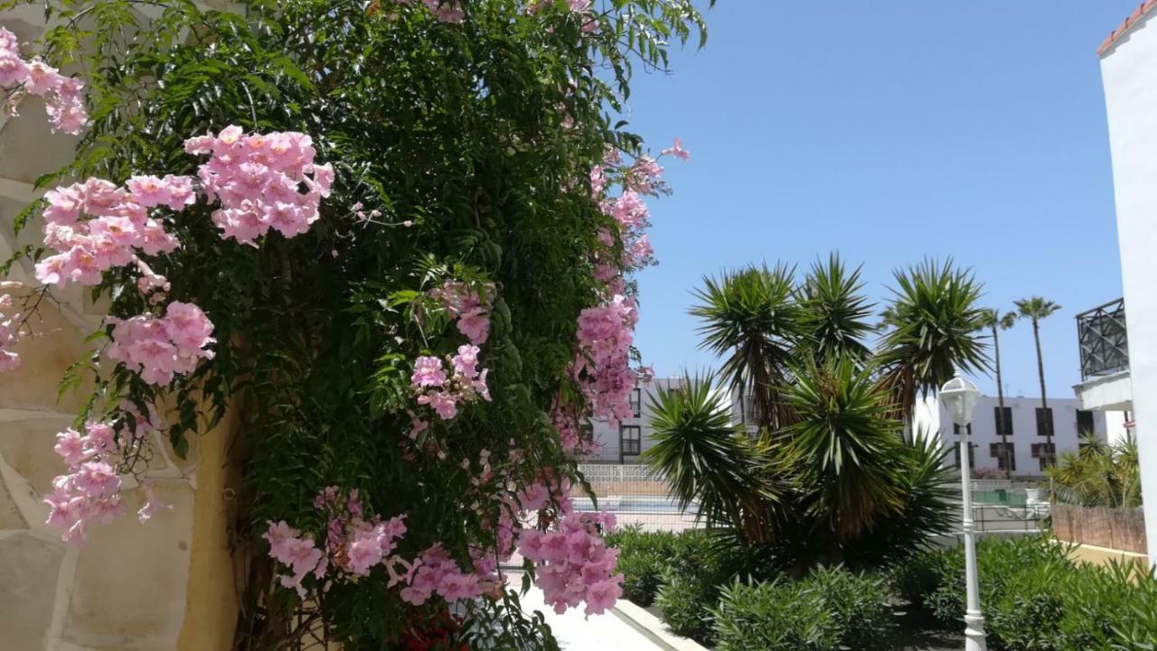 Tenerife Altamar Paradise Плая де лас Америкас Екстериор снимка